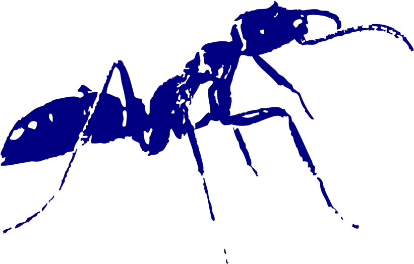 Termitas-1024x1024 - Crazy Ants (1024x1024), Png Download