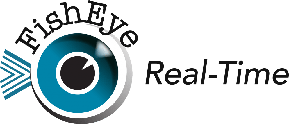 Fisheye Recognized In The Top 2% Of Raytheon Suppliers - Icon (1024x426), Png Download