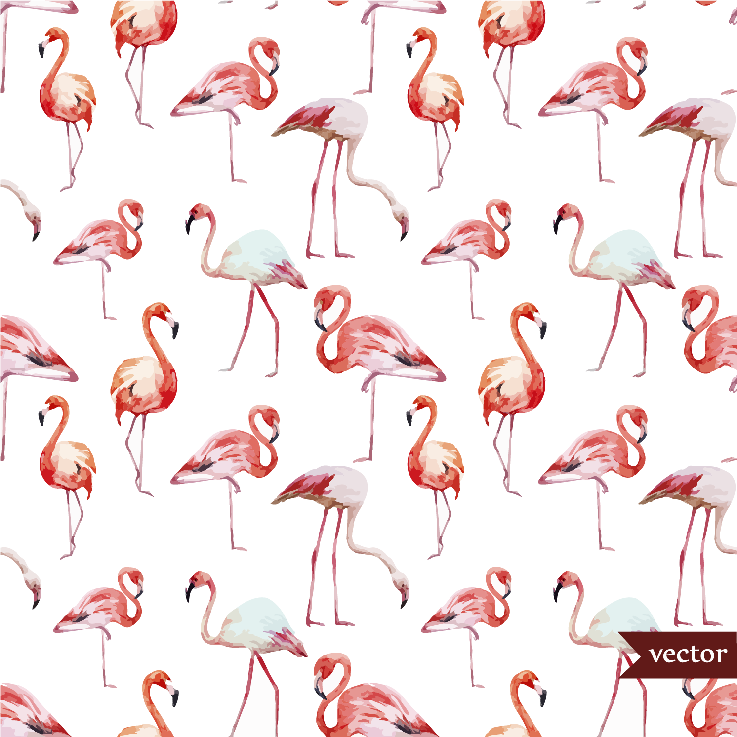 Download Wallpaper Flamingos - Free Flamingo Vectors - Full Size PNG