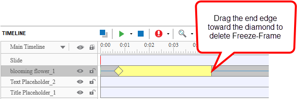 Delete Freeze-frame - Activepresenter (618x206), Png Download