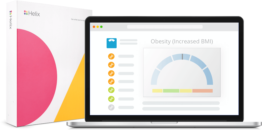 Discover Diet And Weight Loss Strategies Personalized - Health (1028x506), Png Download