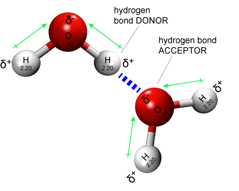 Two Water Molecules Are Depicted Forming A Hydrogen - Graphic Design (493x394), Png Download