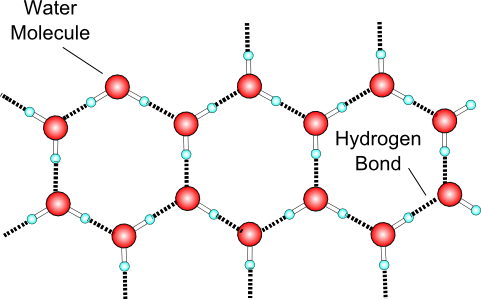 For Example, The Bent Molecules And The Hydrogen Bonding - Water Molecules Ice (481x300), Png Download