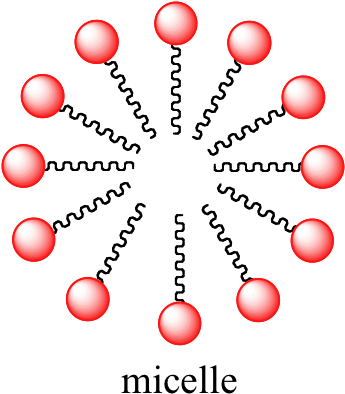 Image134 - Amphipathic Molecule (364x420), Png Download