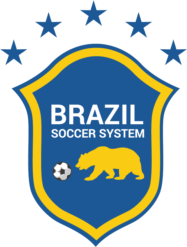 Brazilsoccer Logo Theirs Brazilsoccer Logo Theirs Brazilsoccer - Brazil Football Logo Png (692x897), Png Download