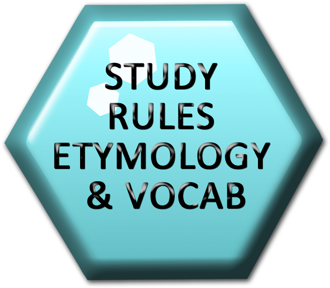 Etyma Rules Vocab Nationalspellingbee Hexco - Drawing (750x651), Png Download