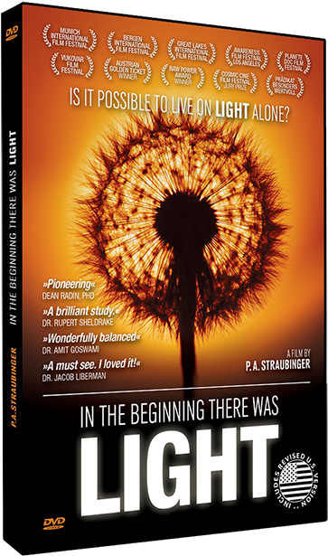 Stream Or Download Now - Beginning There Was Light (400x639), Png Download