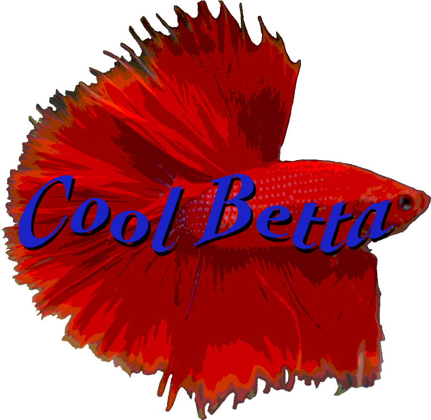 Cool Betta Logo - Illustration (1024x844), Png Download