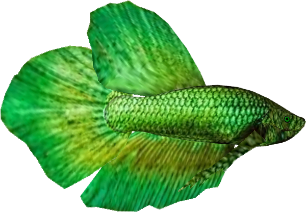 Betta M 2 - Illustration (646x646), Png Download