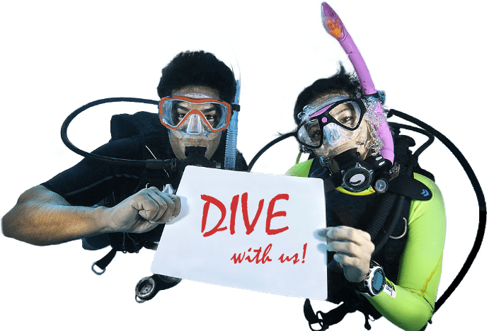 Scuba Diving - Underwater Diving (700x467), Png Download