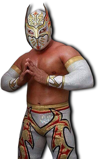 Caristico - Caristico Luchador (321x528), Png Download