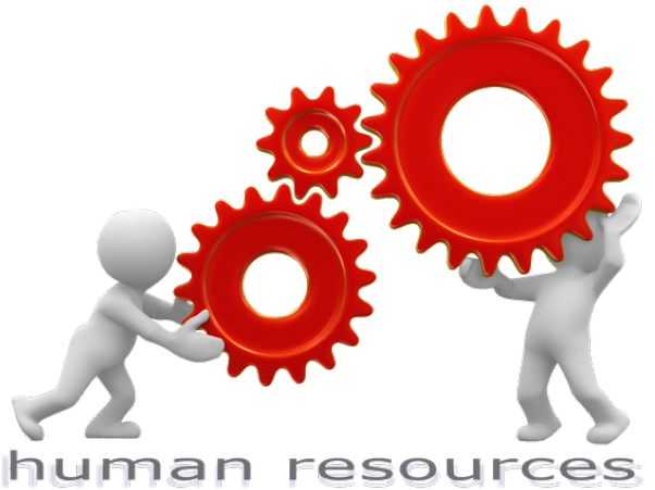 Human Resource Clip Art (640x480), Png Download