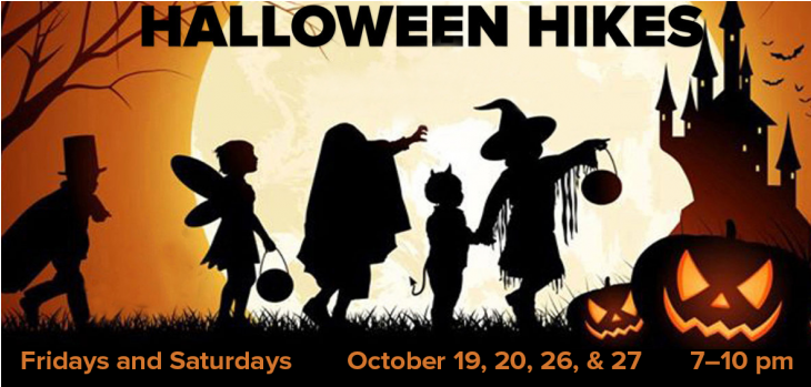 Halloween Hikes 2018 R - Happy Halloween Cartoon Poster 32x24 (729x486), Png Download