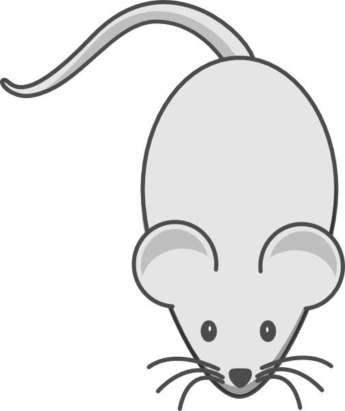 White Mouse Both Grey Ears Clip Art At Clker - Cartoon Mouse (504x599), Png Download