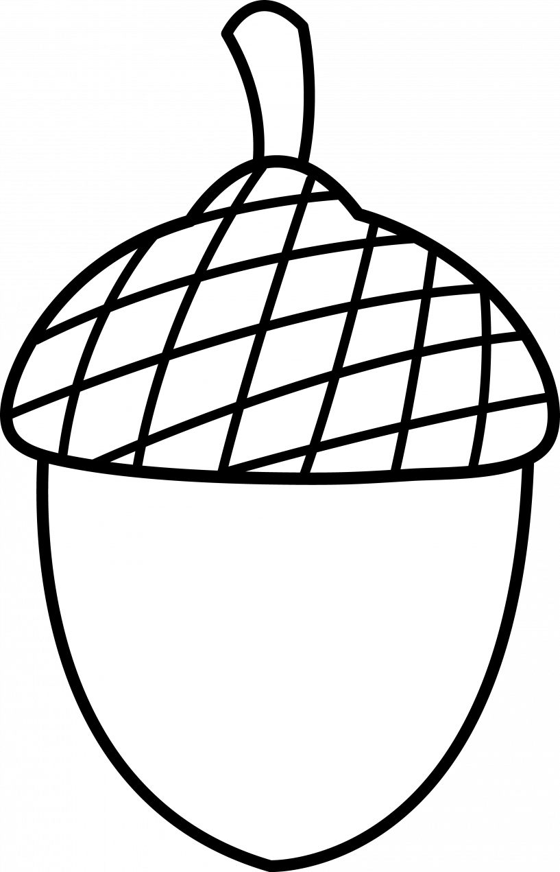 Acorn Clipart Black And White (817x1271), Png Download