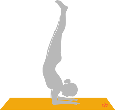 Forearm Stand - Pincha Mayurasana (400x381), Png Download