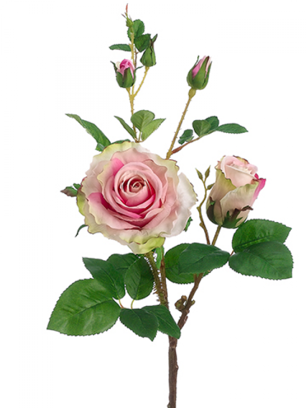 19" Rose Spray Rose Pink - 19" Handwrapped Silk Rose Flower Spray -rose/pink (pack (800x800), Png Download