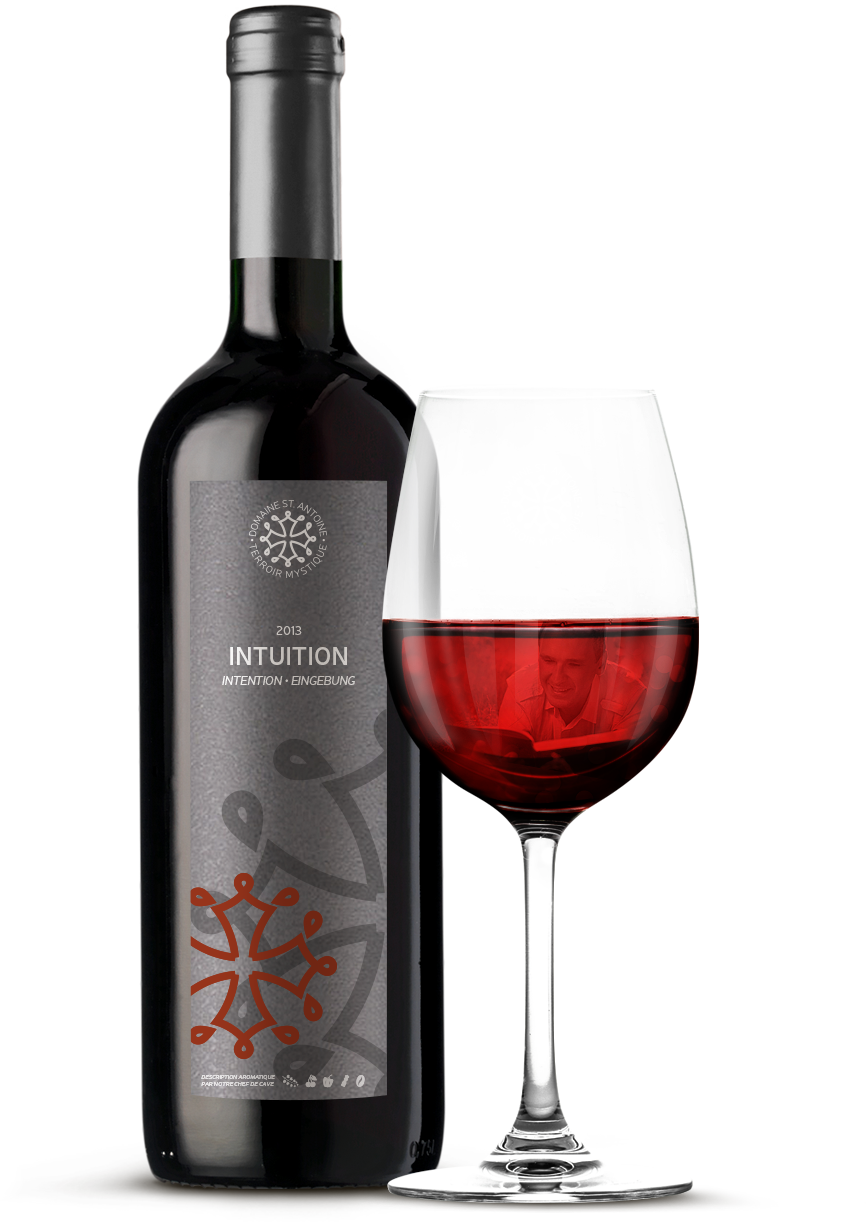 Syrah вино. вино horgelus коломбар-совиньон. сух. Rouge wine. Wine rouge.