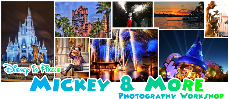4 Jam-packed Days Of Photographing All The Magic That - Disney World, Cinderella Castle (750x336), Png Download