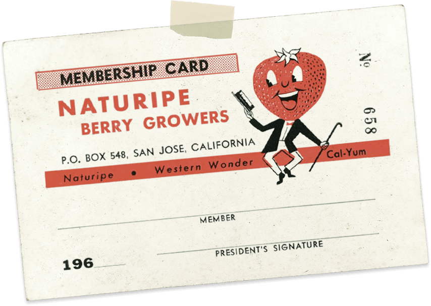1930 - Flyer (854x607), Png Download