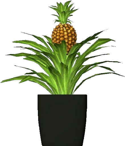 3d Flowers - Pineapple - Pineapples (750x527), Png Download