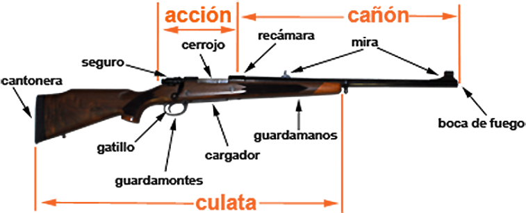 Partes De Una Escopeta - Partes De Una Carabina (768x328), Png Download