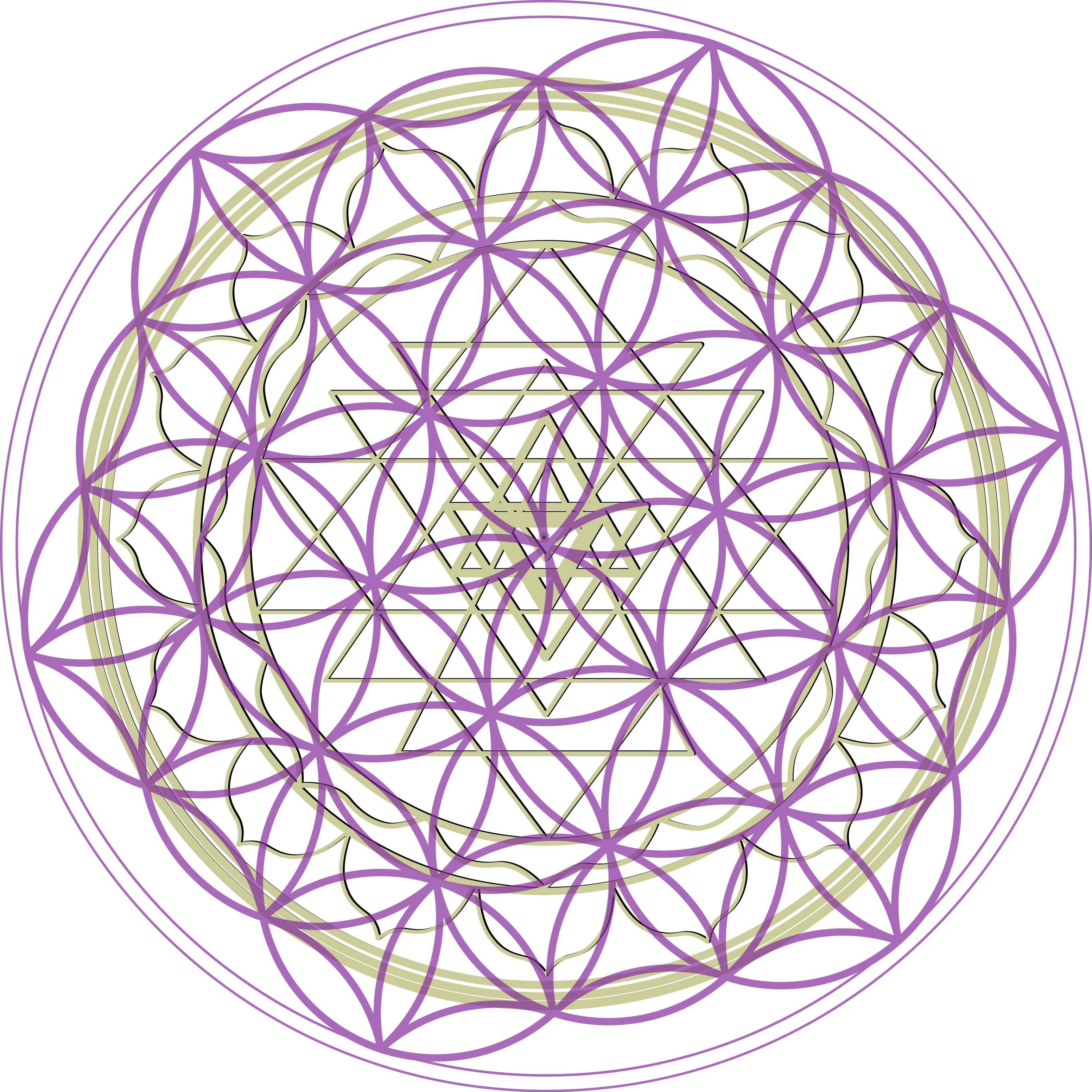 Bitpath-sriyantra - Circle (3104x3104), Png Download