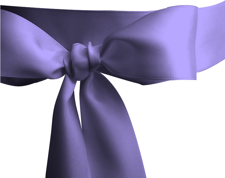 Solid Ribbon- Purple - Satin (750x750), Png Download