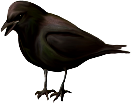 Pin By Melody Bray On Clip Art - Clip Art (500x390), Png Download