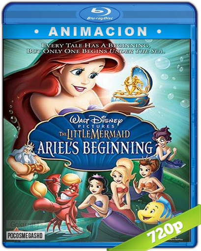 Little Mermaid, The Ariels Beginning For Dvd (542x542), Png Download