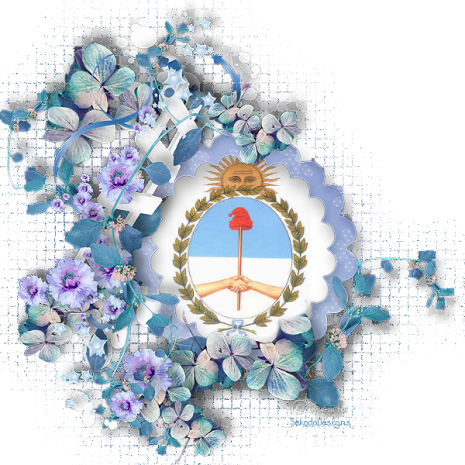 Escudonacionalargentino - Vintage Argentina Throw Blanket (465x465), Png Download