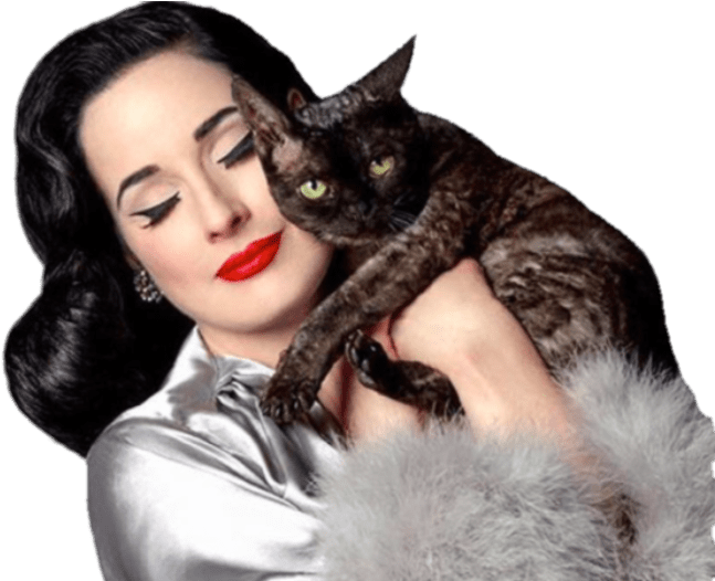 Dita Von Teese With Cat - Dita Von Teese With Cats (700x525), Png Download