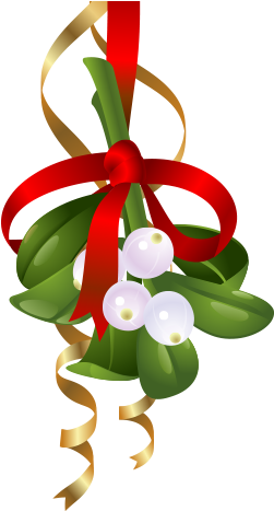 Mistletoe - Christmas Hd Elements Vector (250x500), Png Download