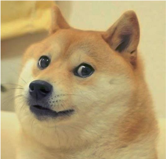 Doge - Svg - Doge Poem (1131x707), Png Download