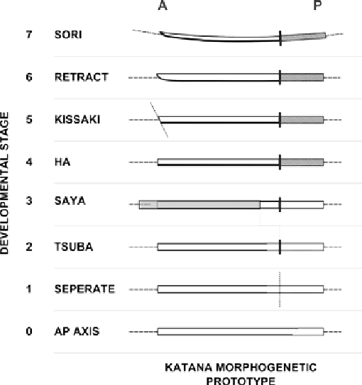 The Reverse Engineered 'katana' Prototype - Science (510x543), Png Download