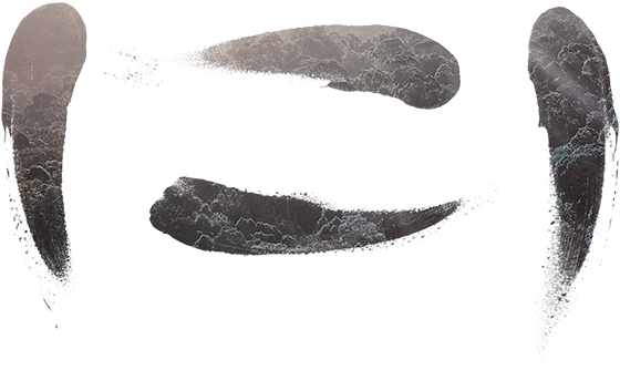 Canopy Shirt Idea - Portable Network Graphics (650x352), Png Download