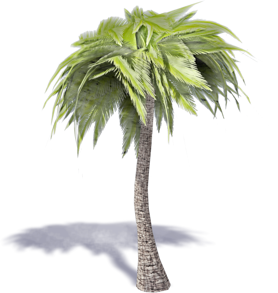 Palm Tree 3d Png (1000x1000), Png Download