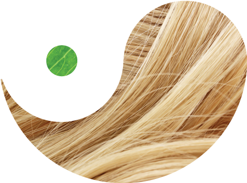 Blond (492x365), Png Download