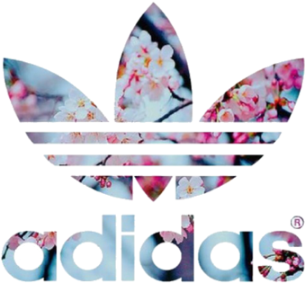 Adidas, Cool, And Overlay Image - Transparent Background Adidas Logo (500x392), Png Download