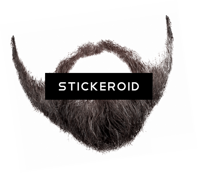 Beard And Moustache - Two-toed Sloth (663x581), Png Download