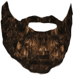 Beards - City (384x384), Png Download