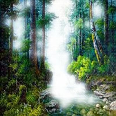 Forest Frame - Forest Photo Frame Transparent (400x400), Png Download