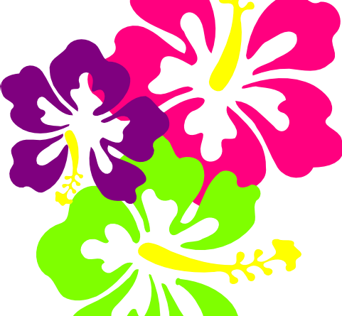Hawaiian Flower Clipart Template - Costa Rica Postal Cards (481x445), Png Download