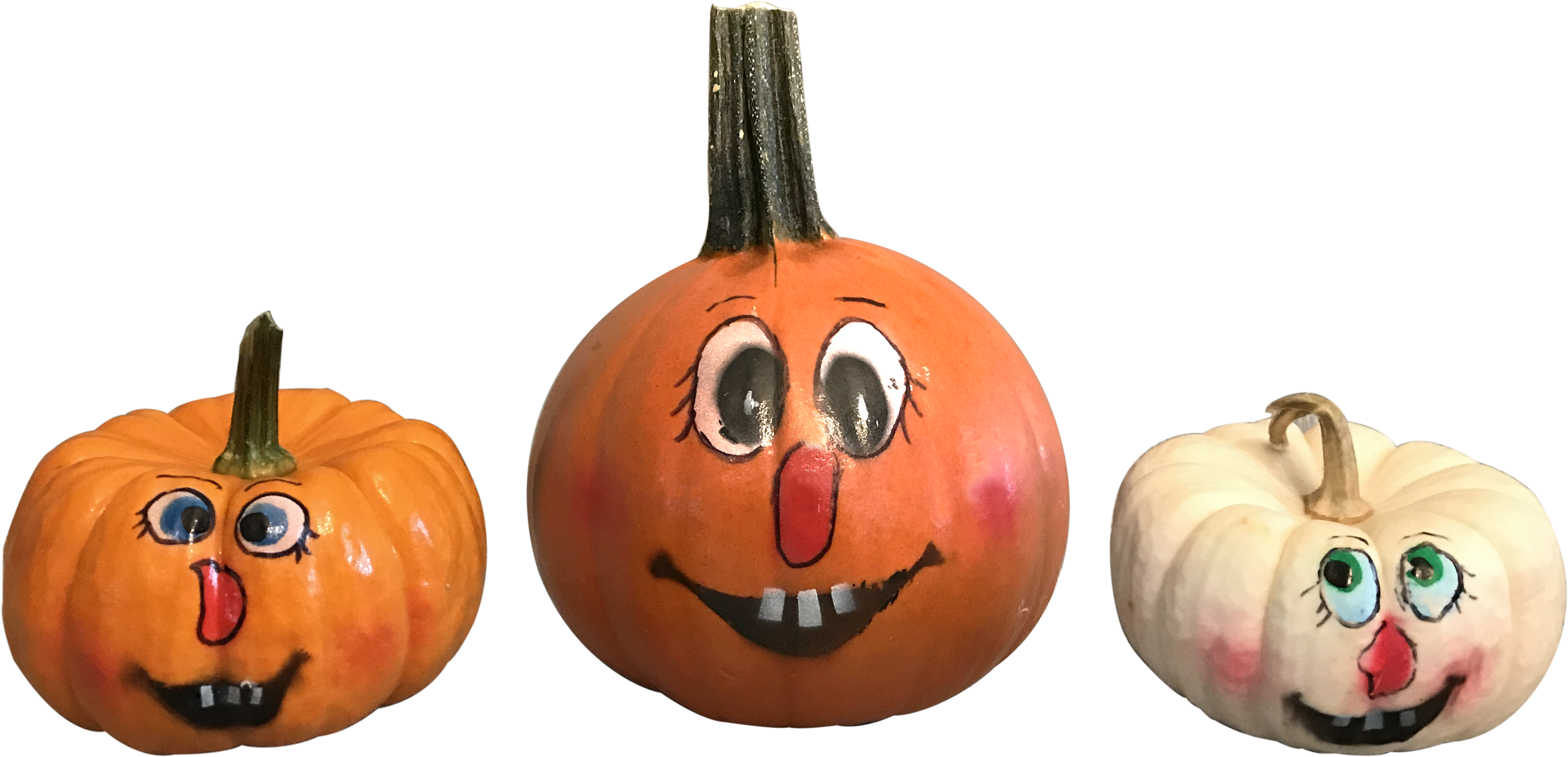 Paintedpumpkins - Png Painted Pumpkins Png (4032x3024), Png Download