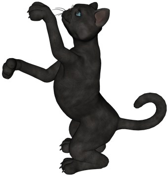 Black Cat - Illustration (1080x608), Png Download