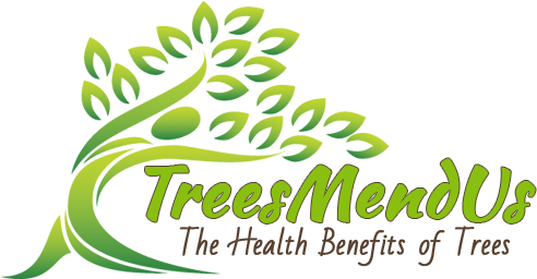 Action Plan To Feel Better Instantly With Tree Air - Landscape Committee (500x300), Png Download