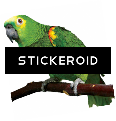 Parrot - Parakeet (394x410), Png Download