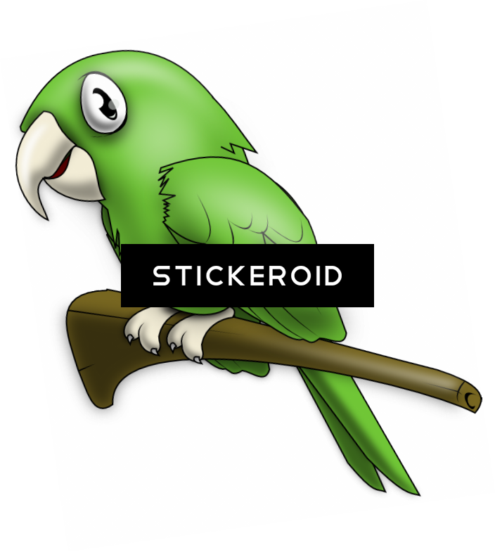 Cute Parrot - Clip Art (704x785), Png Download