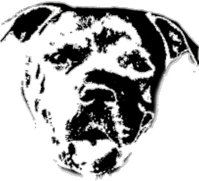 The Pitbull Club - Twitter (400x400), Png Download