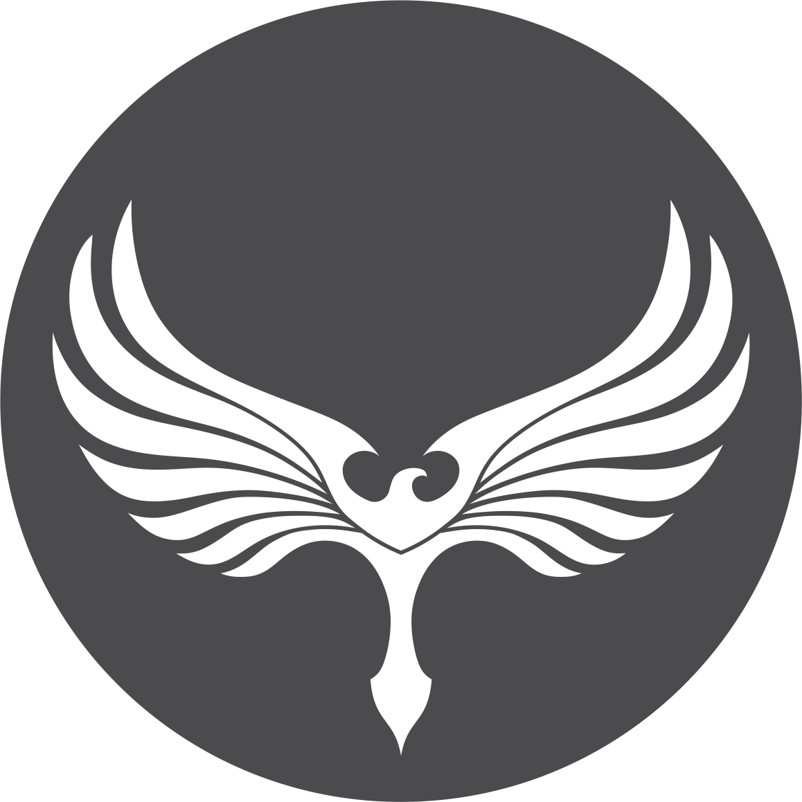 Essentially The Phoenix Foundation Is A Research & - Imagenes Del Deportivo Quito (1158x1158), Png Download